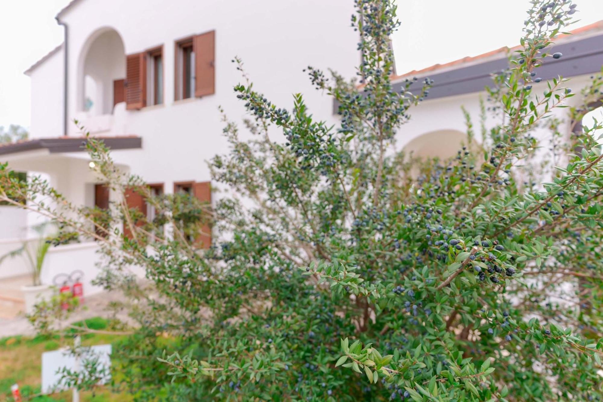 Villa Wunjo Iun R3267 La Maddalena  Exteriér fotografie
